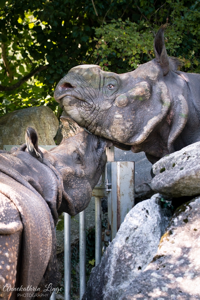 Tierpark Hellabrunn München