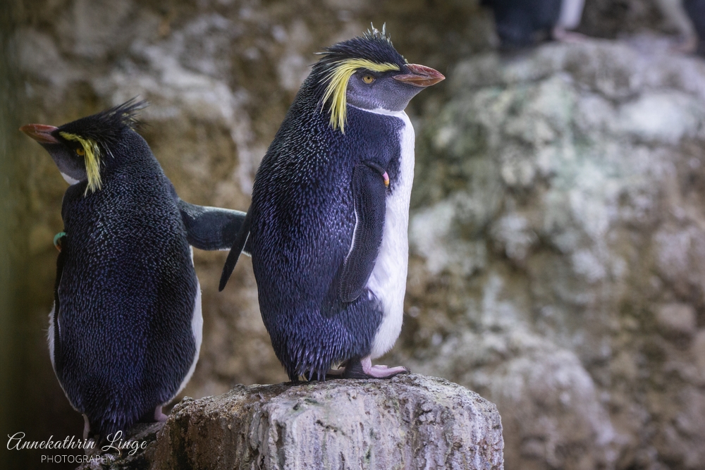 Tierpark Hellabrunn München