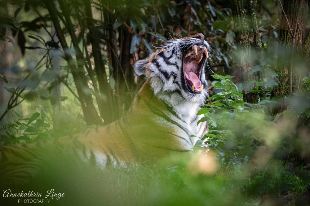 Tierpark Hellabrunn München