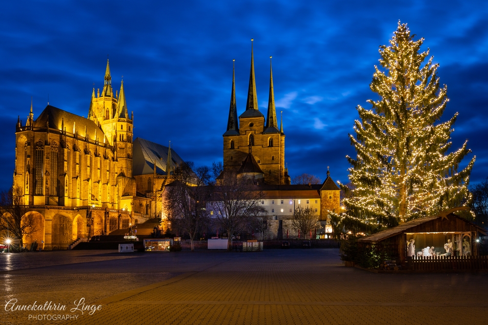 Weihnachten 2020 in Erfurt - Domplatz
