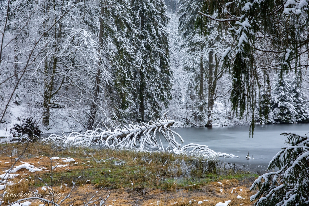 Thüringer Wald