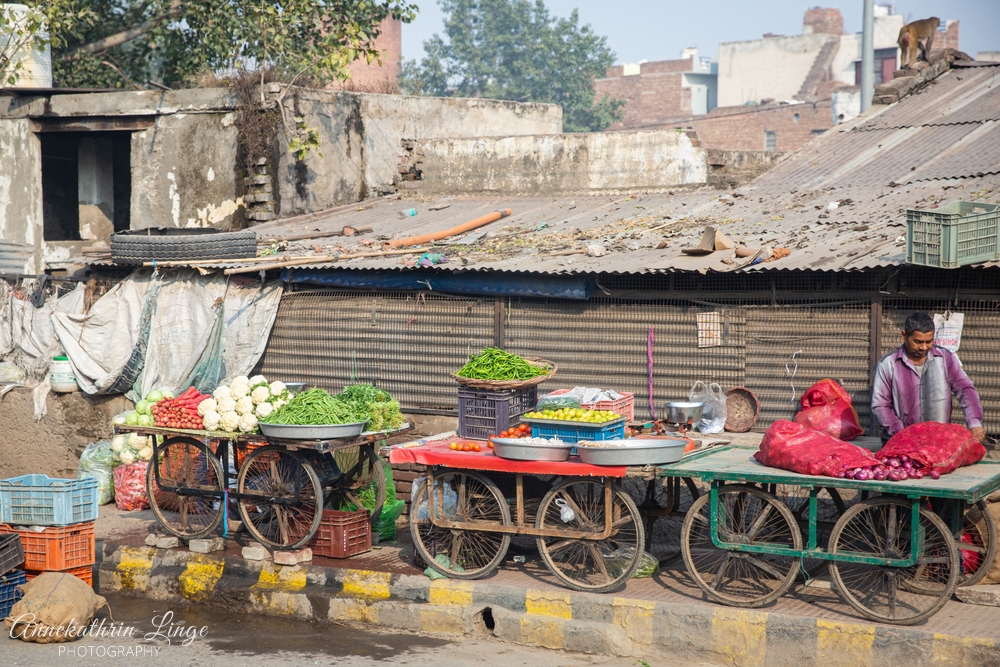 unterwegs in Rajasthan