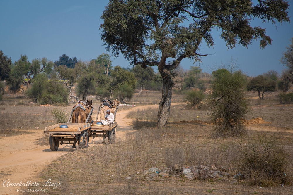 unterwegs in Rajasthan