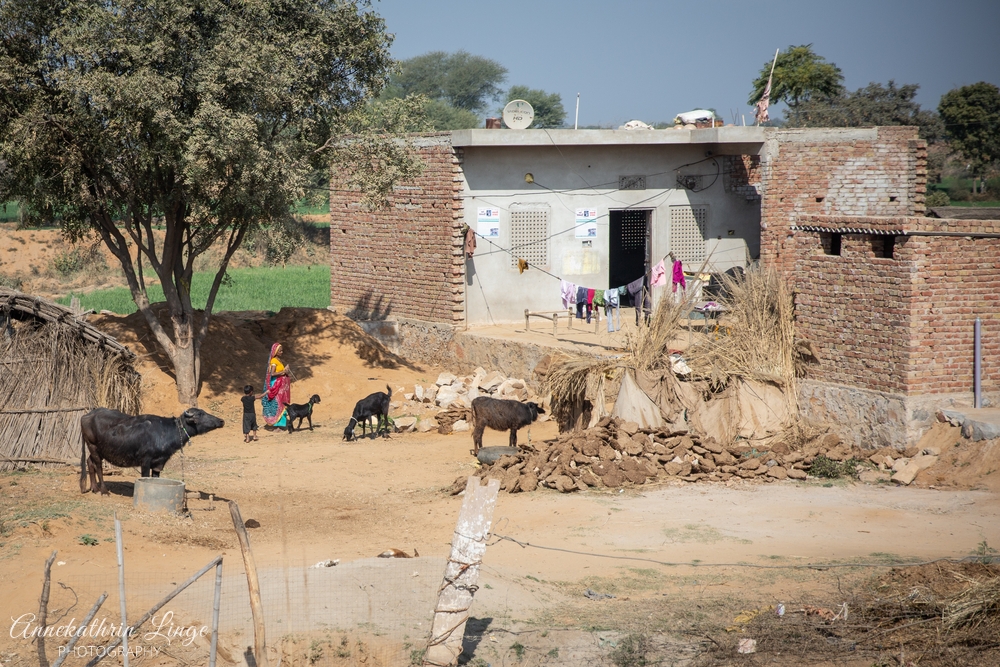 unterwegs in Rajasthan
