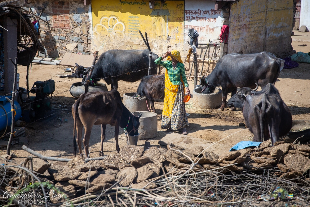 unterwegs in Rajasthan