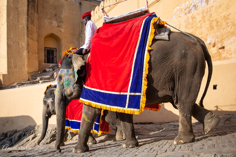 Jaipur: Amber Fort