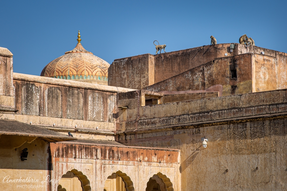 Jaipur: Amber Fort