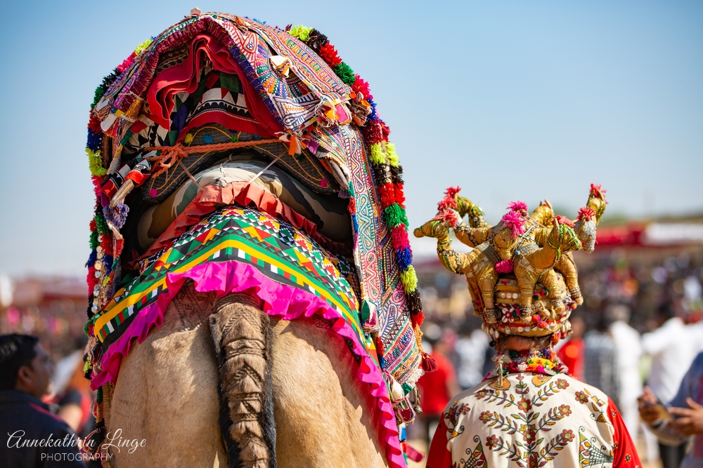 Jaisalmer: Desert Festival