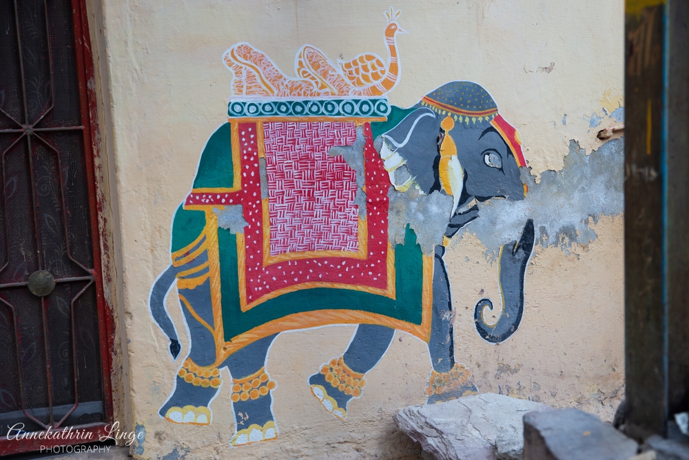 Jodhpur