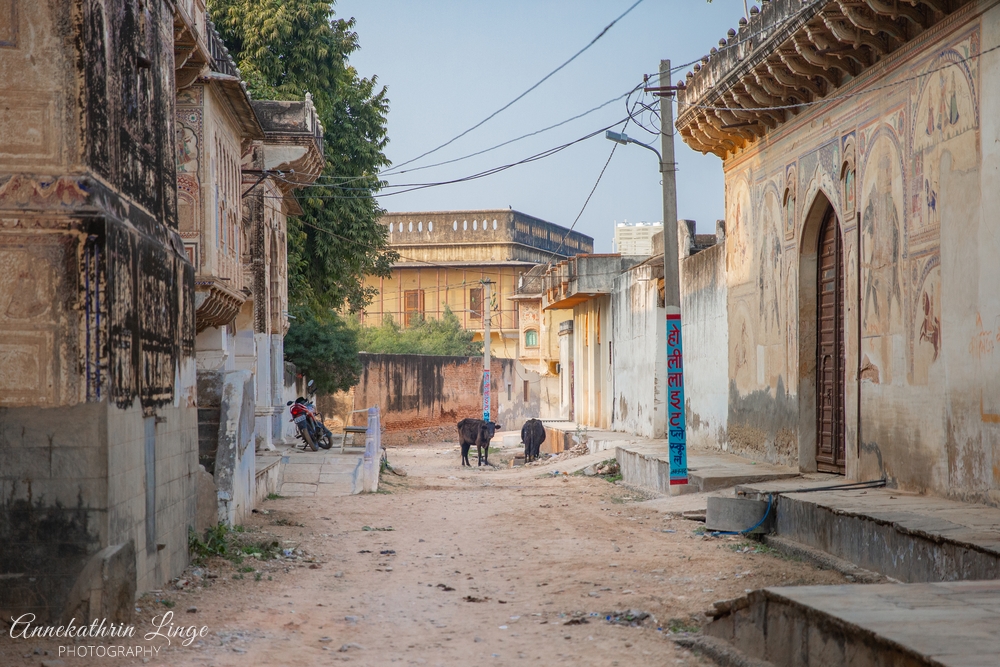 Nawalgarh