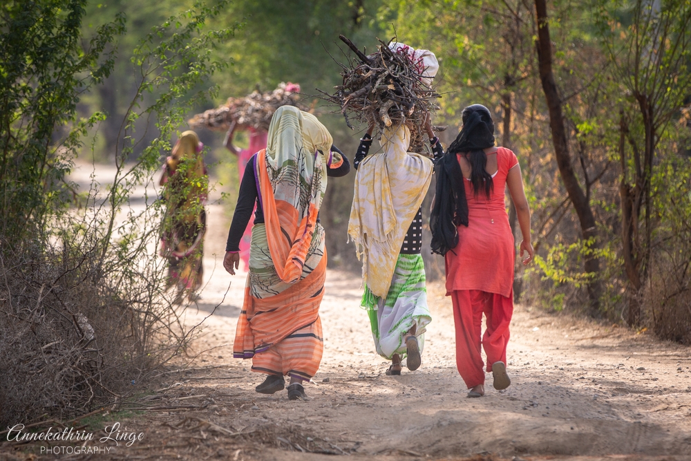 Ranthambhore