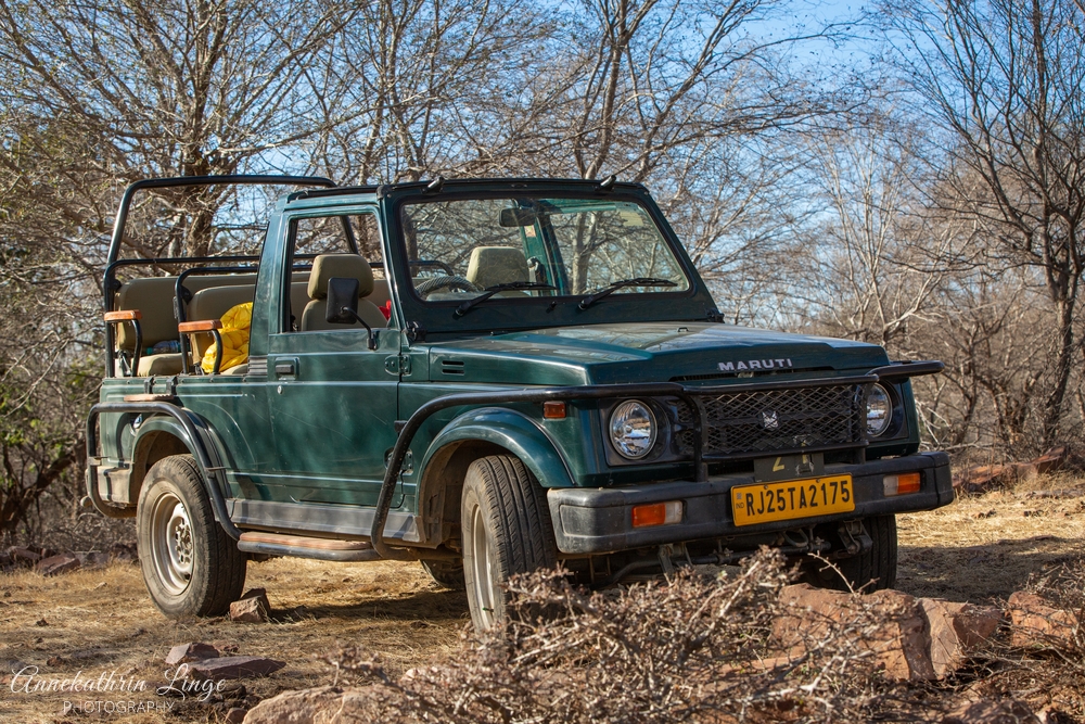 Ranthambhore