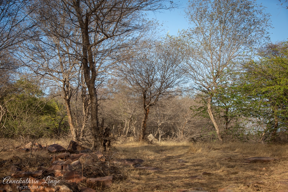 Ranthambhore