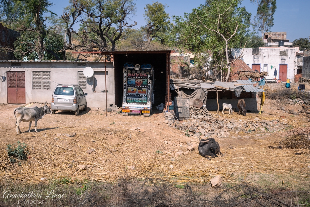 unterwegs in Rajasthan