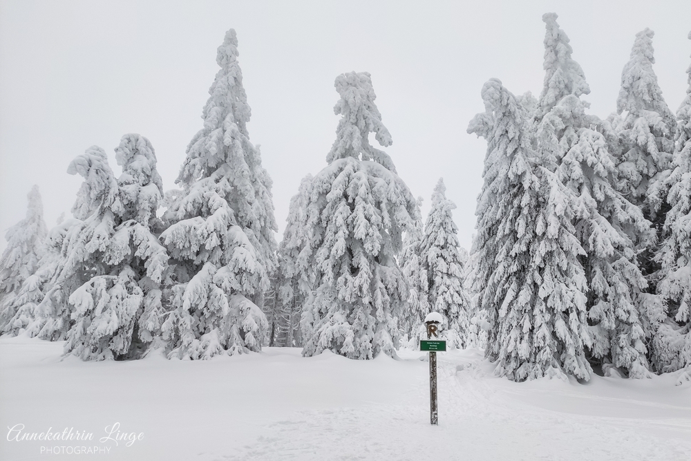 Thüringer Wald - Winter 2020