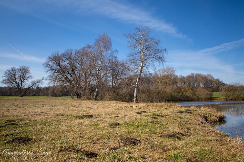 Kranichmoor (2021)