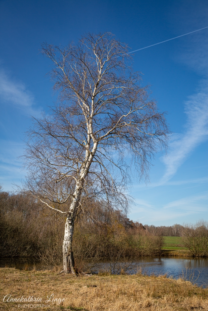 Kranichmoor (2021)
