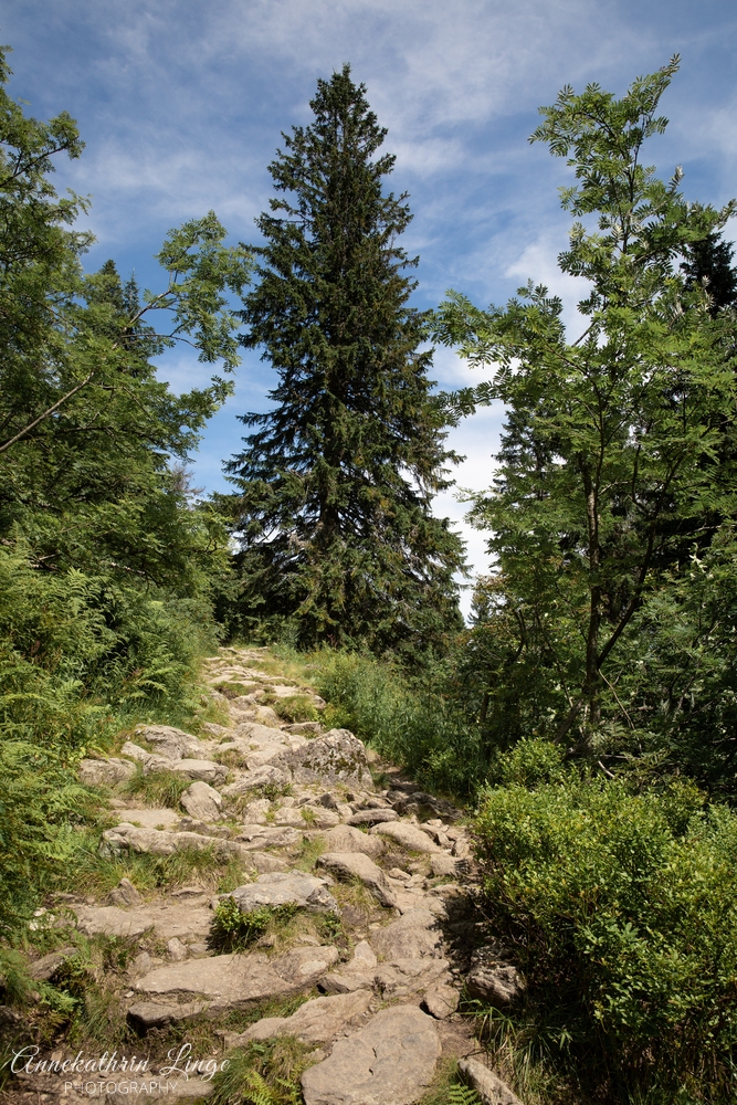 Großer Arber