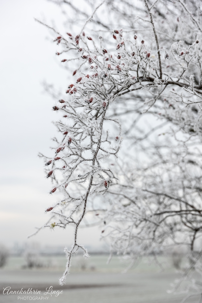 Winter 2021/2022