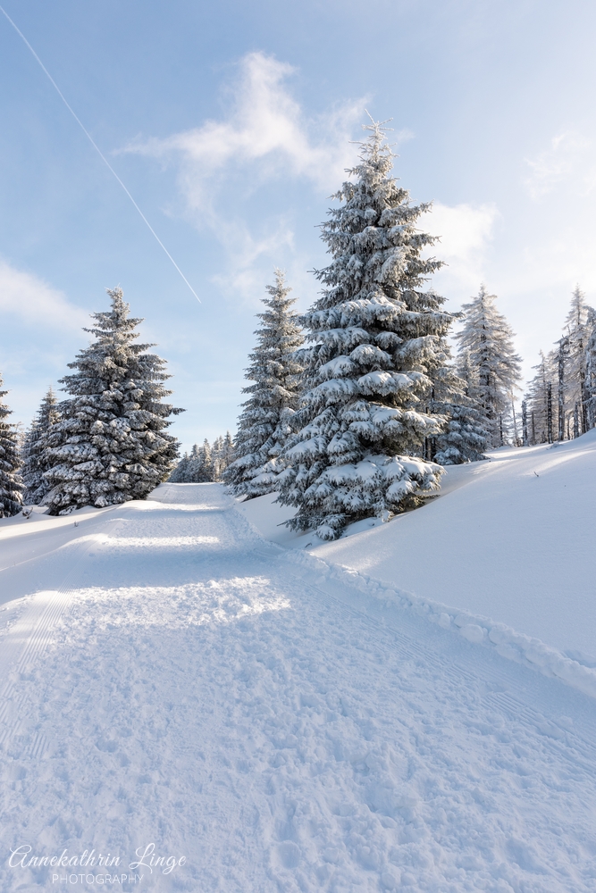 Brocken-Wanderung im Februar 2022