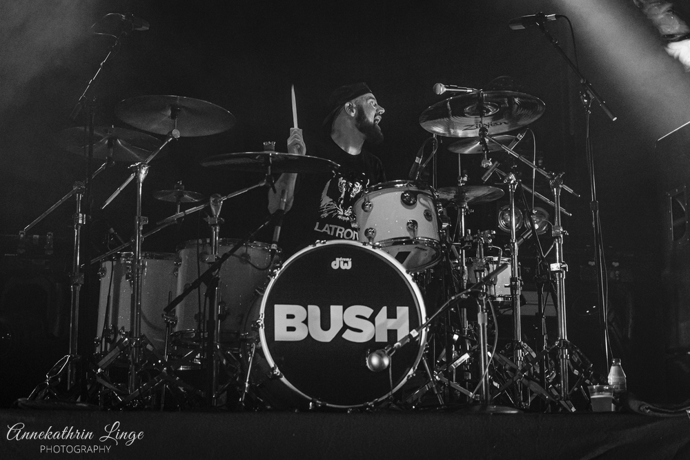 Bush