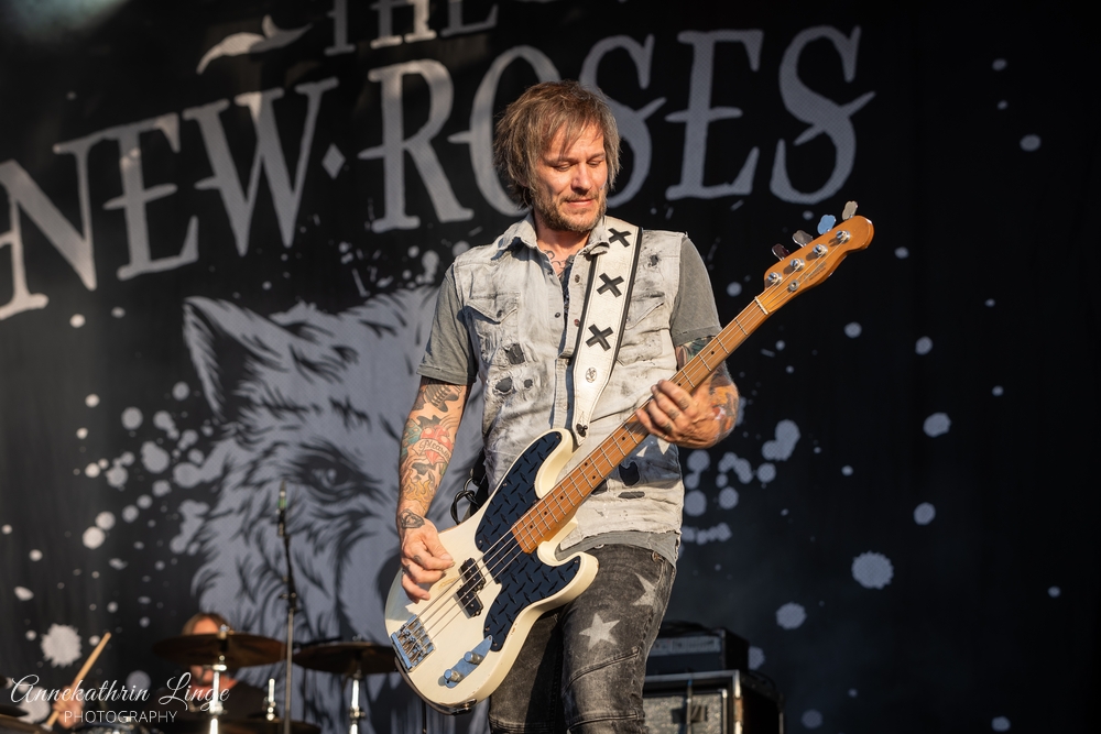 The New Roses