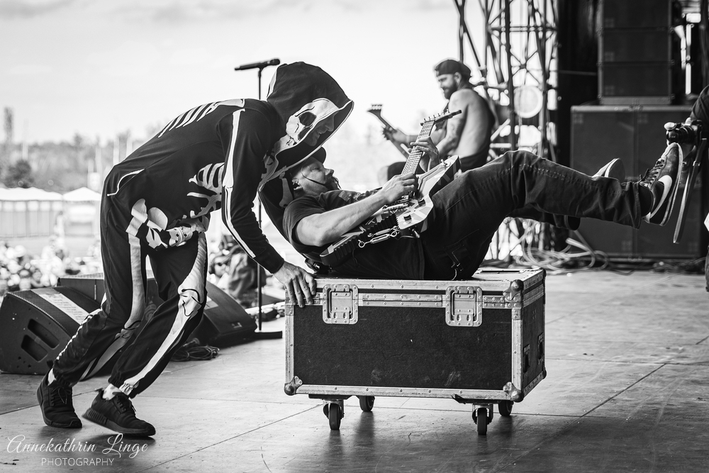 Zebrahead