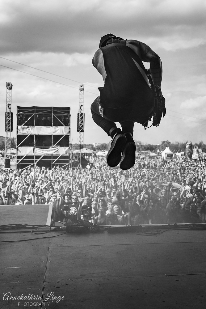 Zebrahead