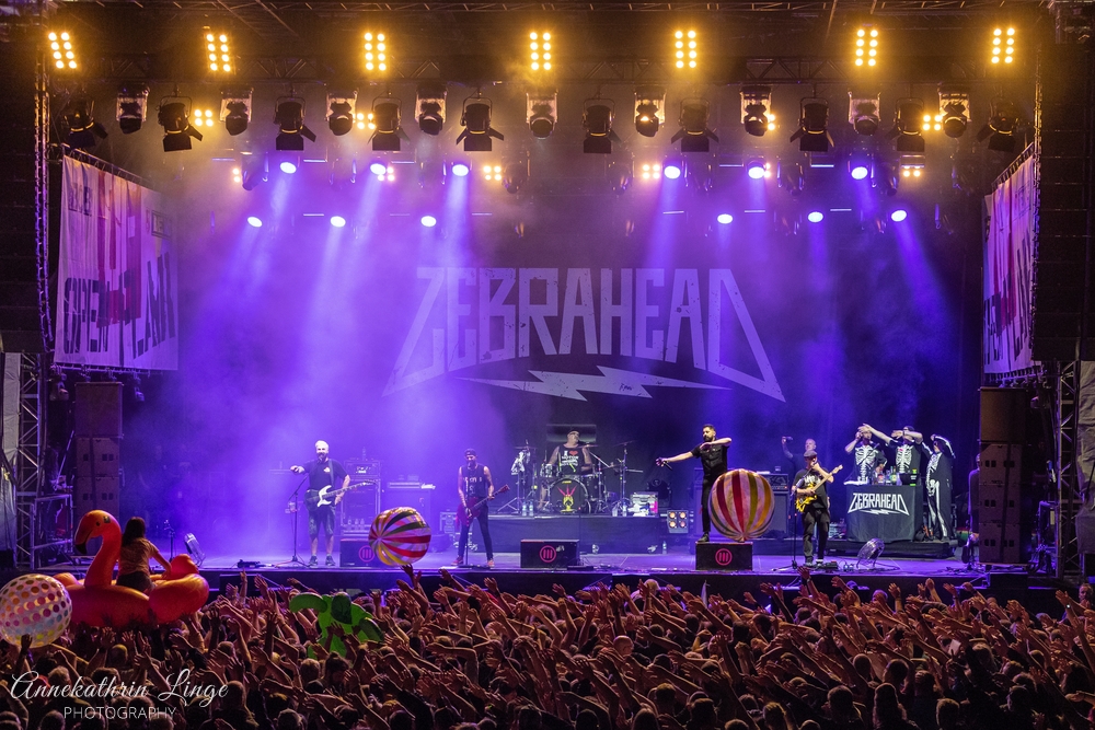 Zebrahead