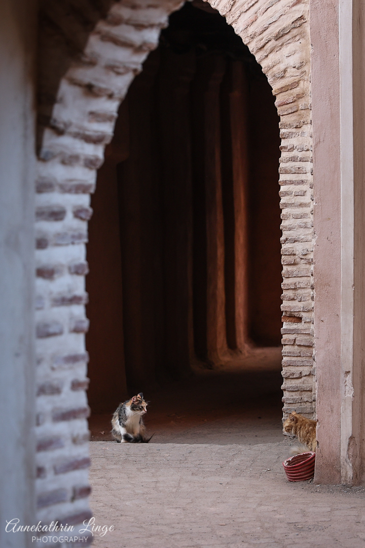 Medina